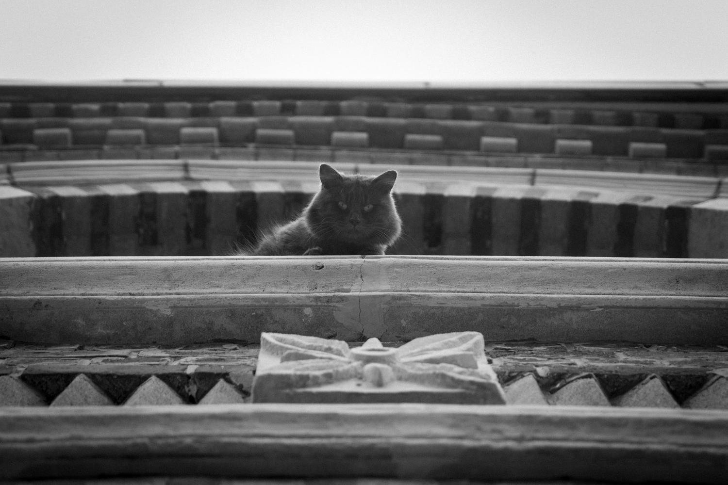 La carte blanche d'Elie Leber