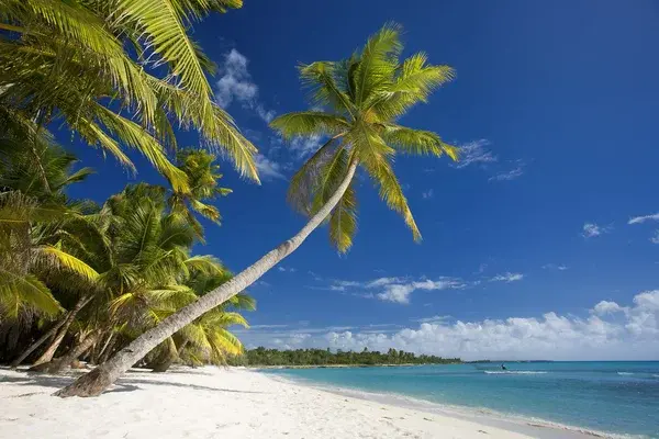 Depositphotos 67503695 stock photo dominican republic beach on saona