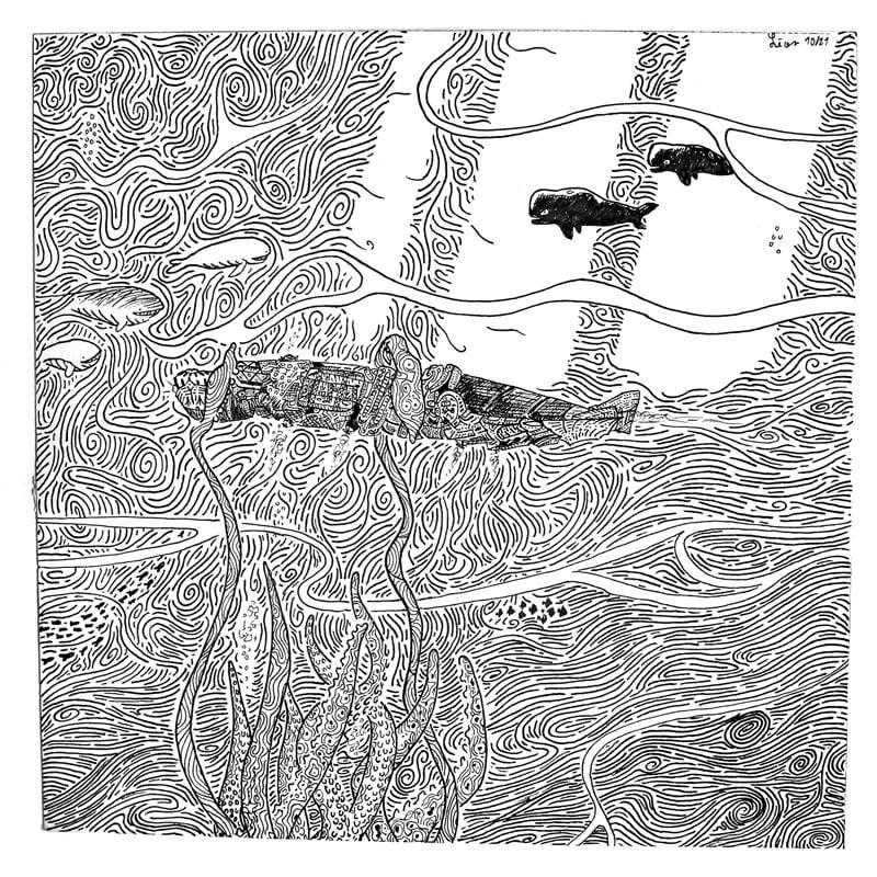 Dicila 1 page 44 illustration leon de nervo jules verne amiens 003 leandre leber dicila medi