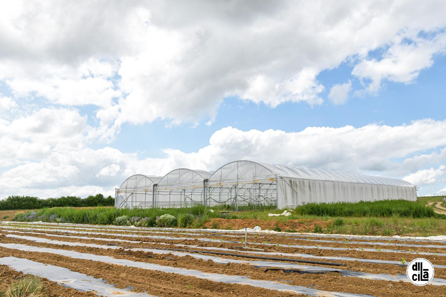 Maison Courtier par Kevin Devigne