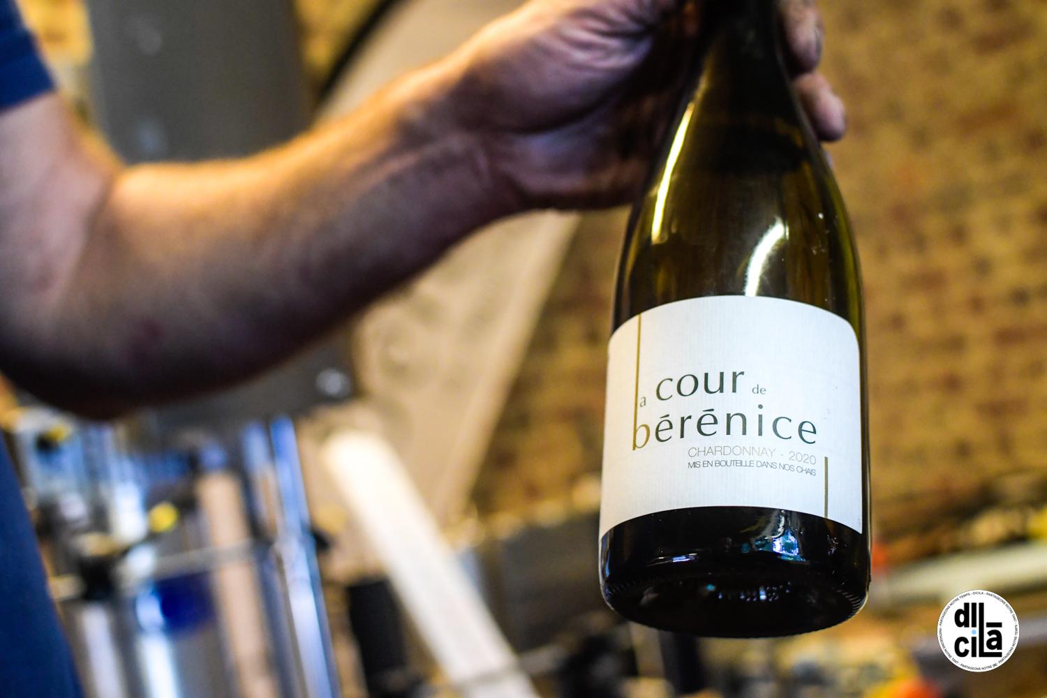 Dicila 5 en cuisine vendanges la cour de berenice kevin devigne 005