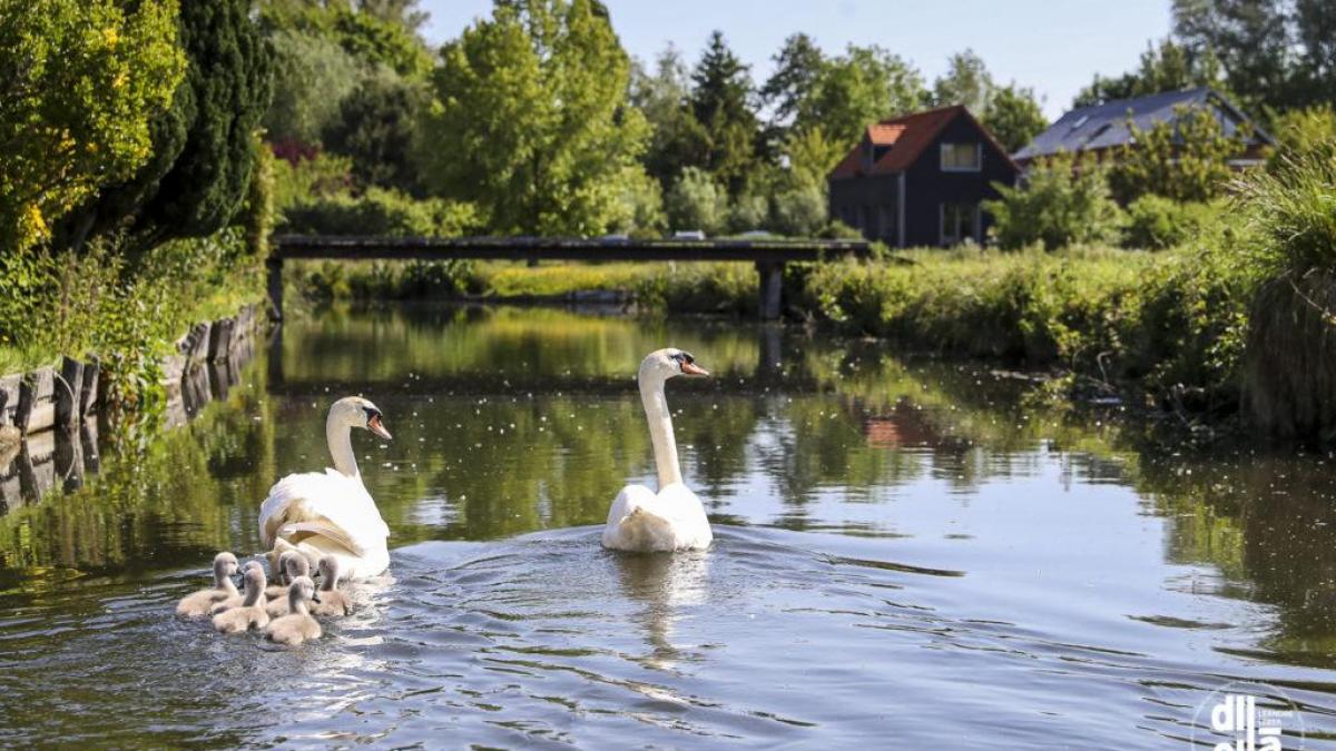 L'office du tourisme organise des sorties natures