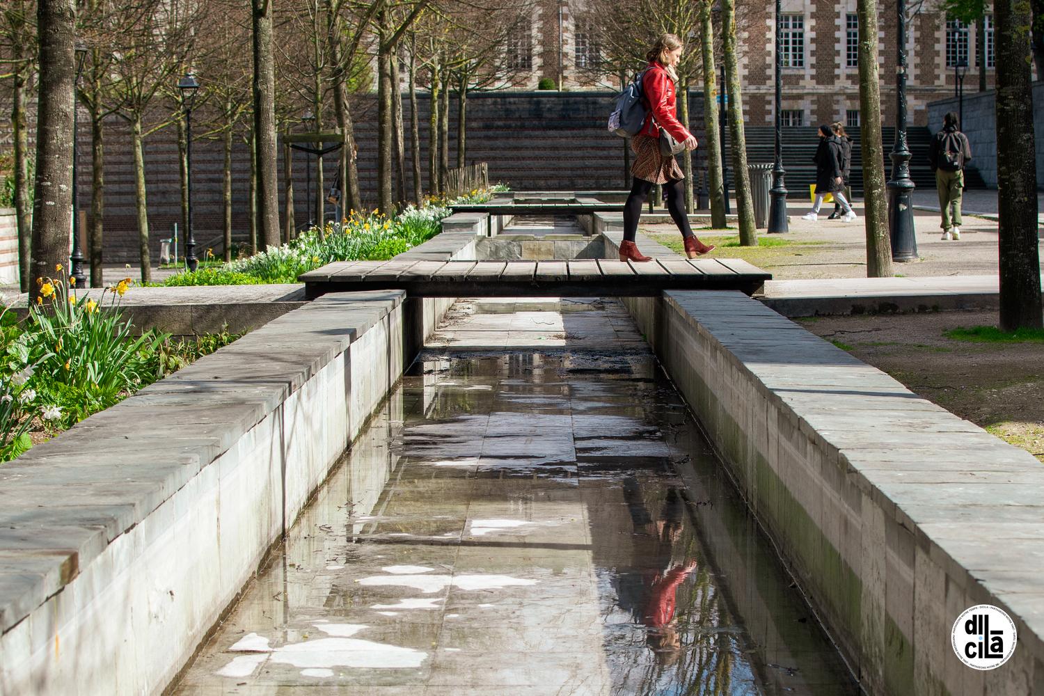 Kevin devigne dicila 3 carte blanche bd 1