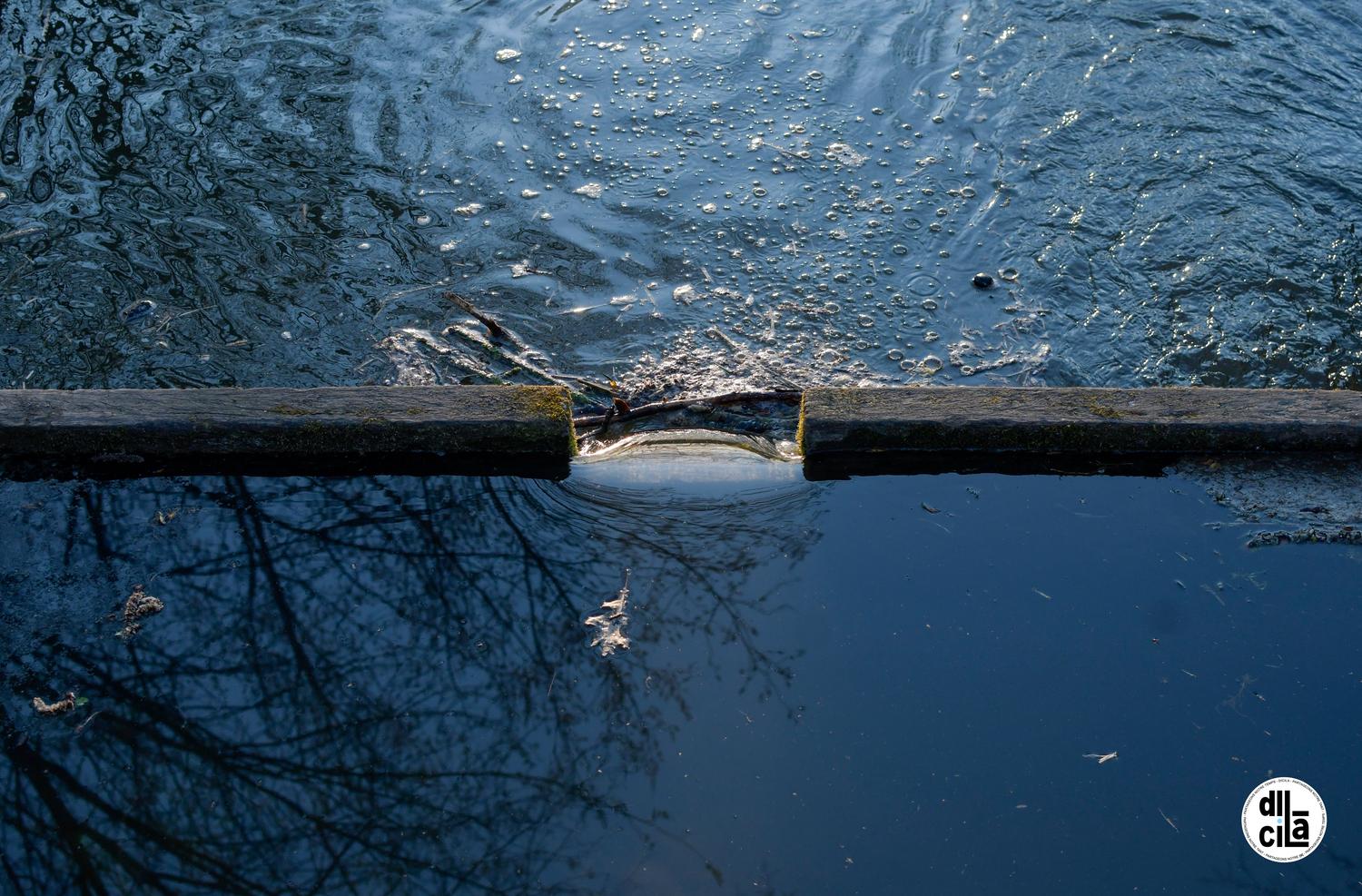 Carte Blanche de Kevin Devigne