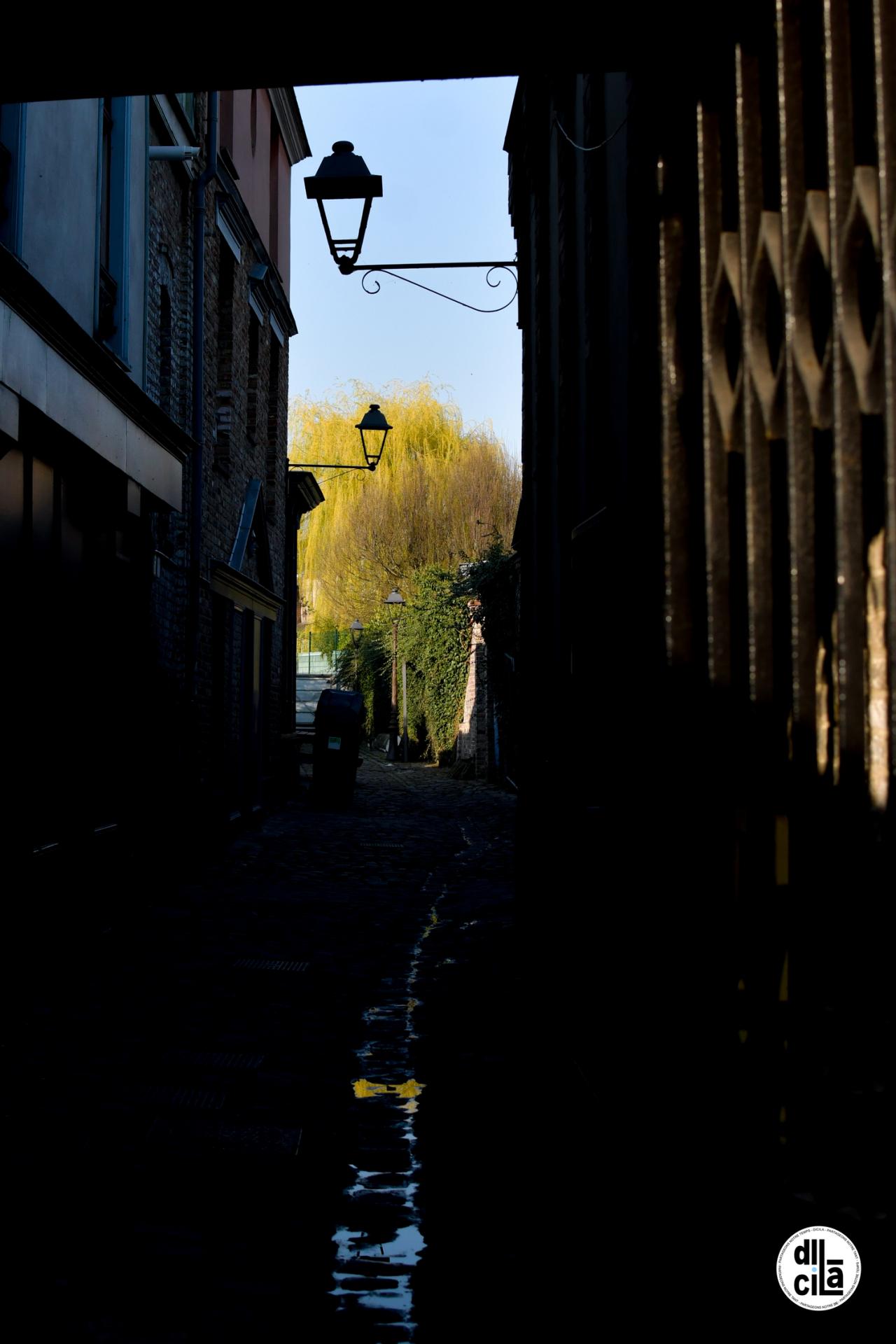 Carte Blanche de Kevin Devigne