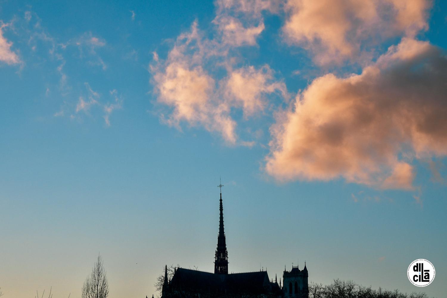 Carte Blanche de Kevin Devigne