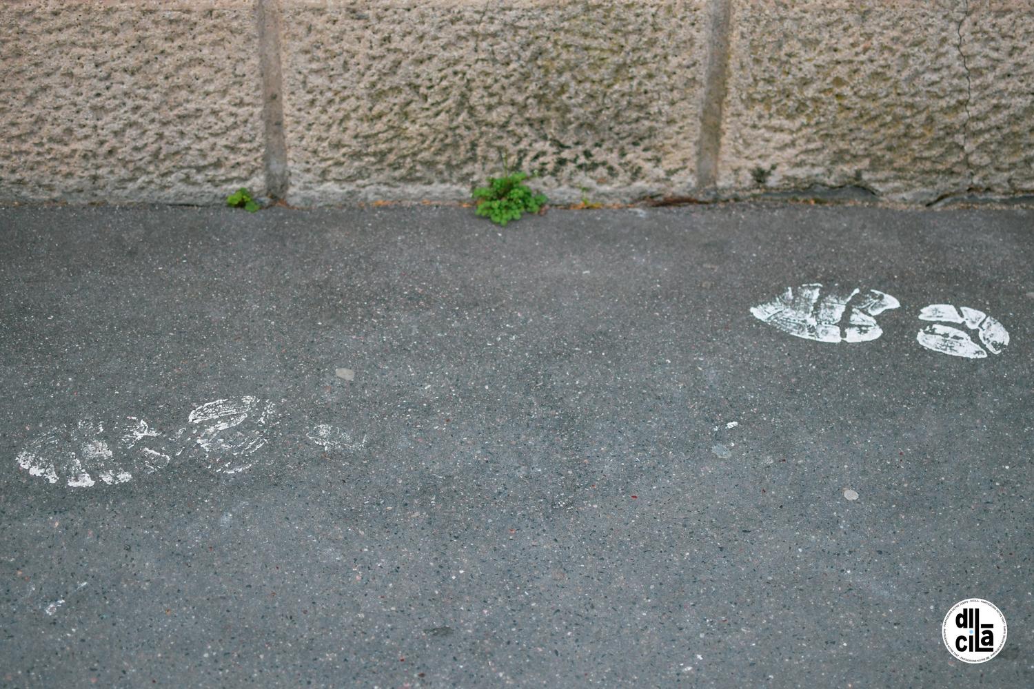 Carte Blanche de Kevin Devigne