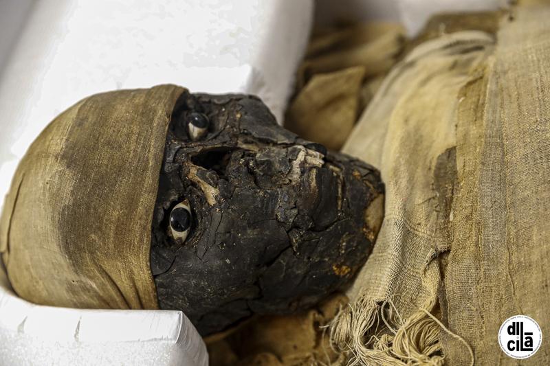 Musee de picardie momie chu amiens leandre leber 05