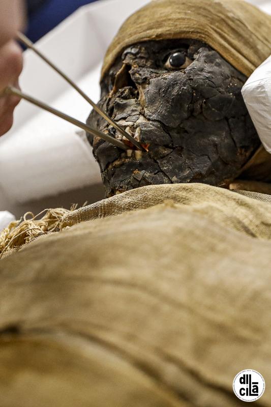 Musee de picardie momie chu amiens leandre leber 50