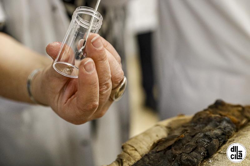 Musee de picardie momie chu amiens leandre leber 51