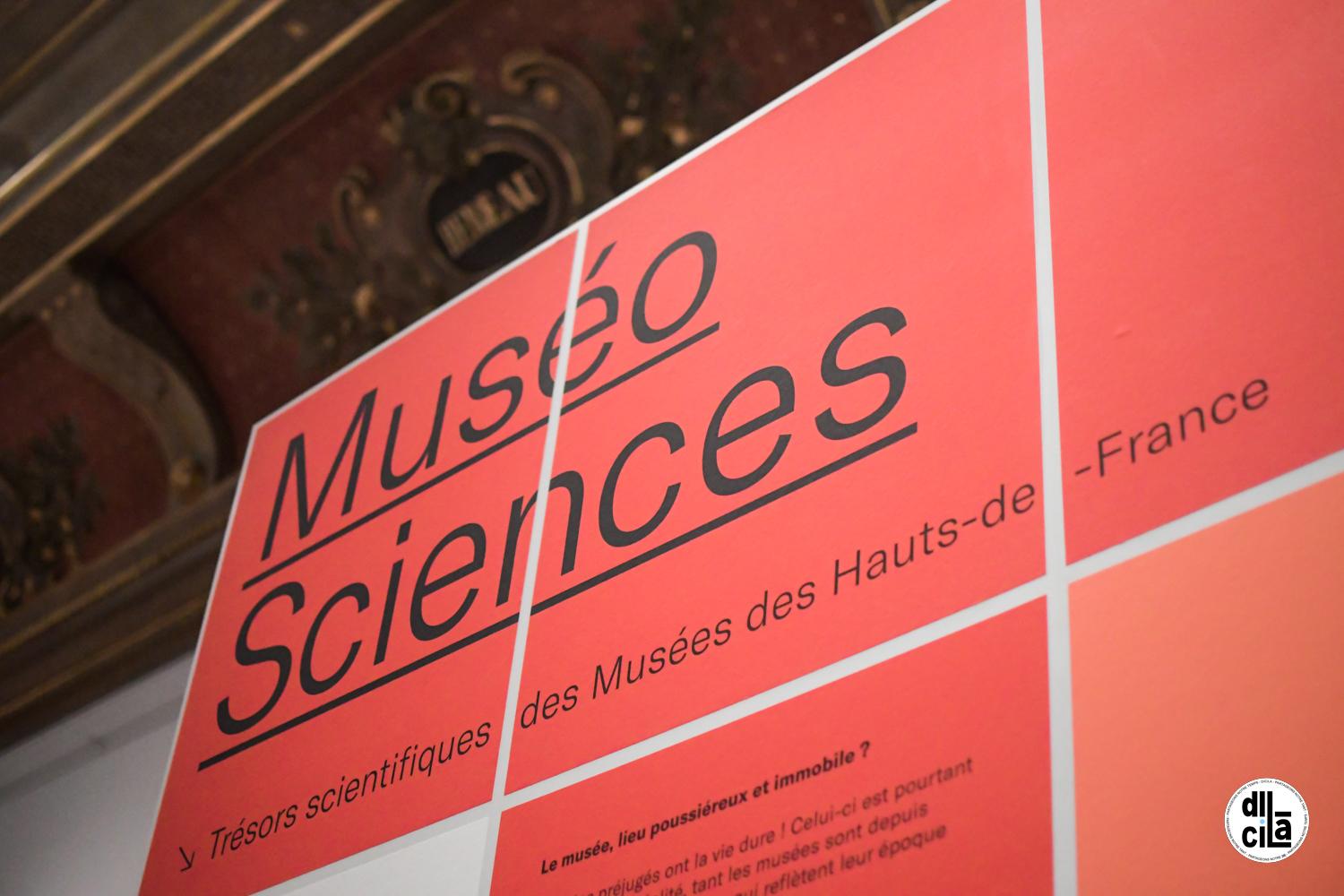 Museosciences exposition musee picardie dicila kevin devigne 29